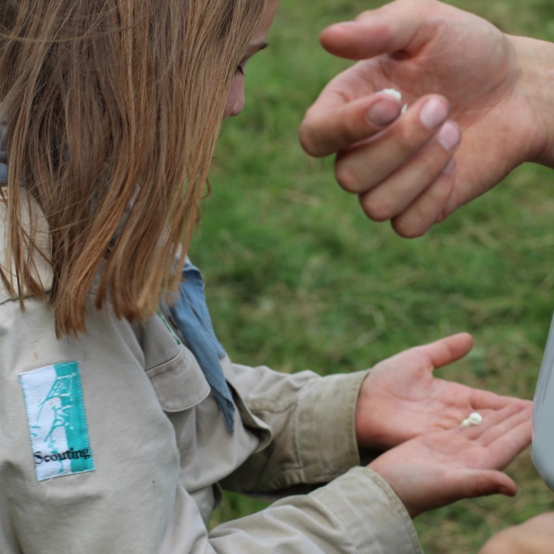 IMG 5523 - Scouts en Gidsen Zaventem 